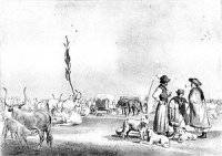 Hungarian herdsmen